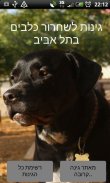 Dogs Parks in Tel Aviv screenshot 0