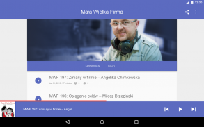 Mała Wielka Firma screenshot 4