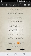 Deewan-e-Ghalib screenshot 18