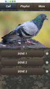 Pest bird caller screenshot 2