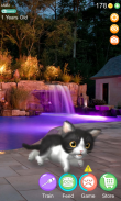 AR Cat screenshot 6