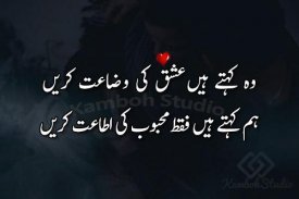 Ishq Poetry Urdu - Love Poetry screenshot 6