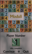 Moduli - Number Puzzles screenshot 7