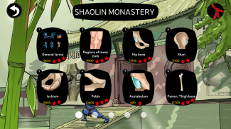 Anatomy Ninja Lower Limb screenshot 11