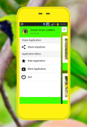 Mais Verde Leafbird screenshot 1