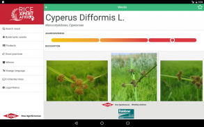 Rice Xpert screenshot 3