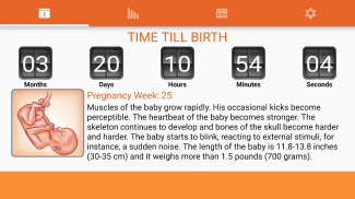 Kalendarz WomanLog Pregnancy screenshot 6