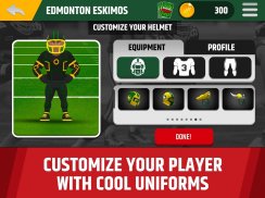 CFL Football Frenzy screenshot 9