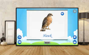 Birds Learning Kids & Toddler screenshot 0