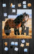Horses Jigsaw Puzzle Game screenshot 4