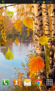 Autumn Live Wallpaper HD screenshot 1