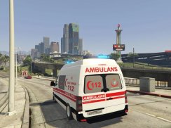 Emergency Ambulance screenshot 0