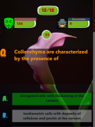 Botany test Quiz screenshot 4