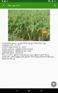 Paddy Varieties screenshot 1