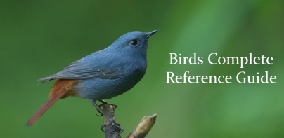 Birds Complete Reference Guide