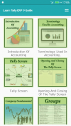 Learn Tally ERP 9 Guide screenshot 0