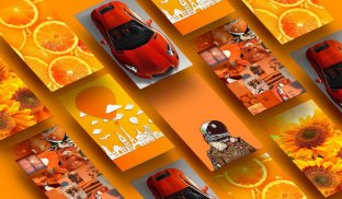 Orange Wallpapers HD screenshot 6