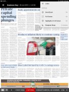 Business Day E-Edition screenshot 2