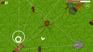 SpiderLand - Spider Simulator screenshot 3