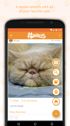 Hashcat - Cat's social network screenshot 5