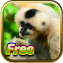 Juegos de animales gratis Icon
