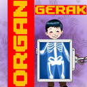 ORGAN GERAK