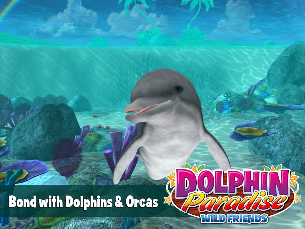 Dolphin Paradise - APK Download for Android | Aptoide