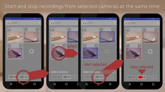 CAMS: Remote cameras as one screenshot 1