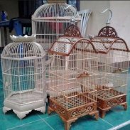 Bird Cage Design Ideas screenshot 4