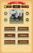 Horse Quiz screenshot 12