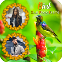 Bird Dual Photo Frame Icon