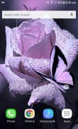 Purple Rose Butterfly LWP screenshot 1