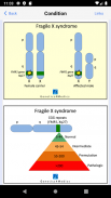 Genetics 4 Medics screenshot 7