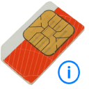 SIM Card Detalles Icon