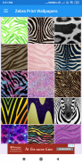 Zebra Print Wallpapers: HD images Free download screenshot 2