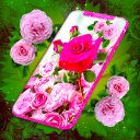 Pink Rose 4K Live Wallpaper Icon