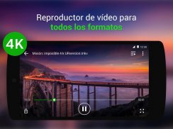 Reproductor de Vídeo y Música screenshot 0