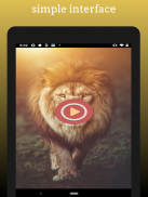 Lion sound effects screenshot 1