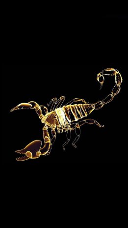 Scorpio Live Wallpapers 12 Download Apk For Android Aptoide