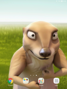 Funny Beaver Live Wallpaper screenshot 8