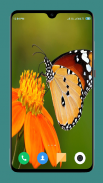 Butterfly Wallpaper 4K screenshot 0