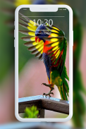 Bird Wallpaper screenshot 2