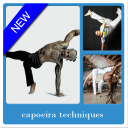 Capoeira Techniques