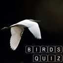 Amazing Animals : Bird Quiz