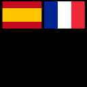 SPANISH TO FRENCH Translator