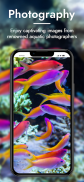 Tropical Fish Hobbyist screenshot 10