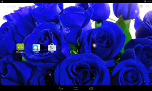 Hoa hồng xanh biếc screenshot 14