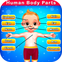 Human Body Parts - Preschool Kids Learning Games