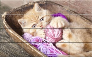 Tile Puzzles - Cats screenshot 1
