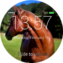 Horses Lock Screen